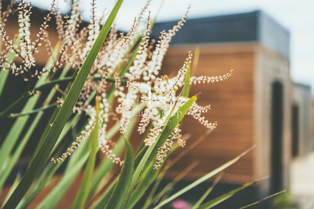 Maison contemporaine en bois photographié par Jean-Luc Renouil photographe immobilier et pilote de drone en Dordogne.