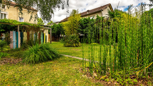 Jardin de restaurant