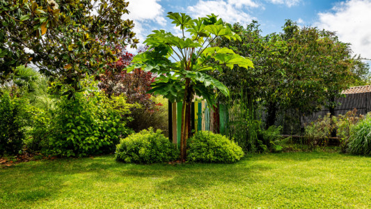 Jardin de restaurant