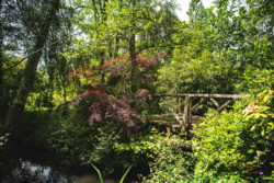 Les jardins tranquilles de Brantôme