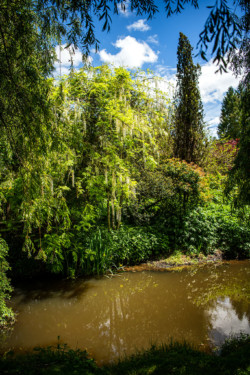 Les jardins tranquilles de Brantôme