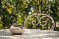 Immobilier Périgueux 28 Immobilier Périgueux - Jardin