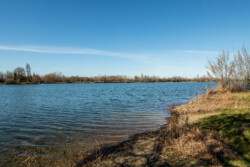 Plan d'eau La Blanche