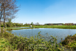 Immobilier Saint-Martial - Etang