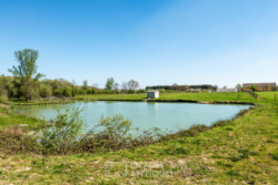 Immobilier Saint-Martial - Etang