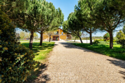 Immobilier Saint-Martial - Centre Equestre