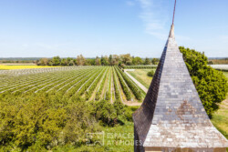 Immobilier Lamonzie - Vue aérienne