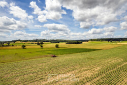 Immobilier Champagne - Vue aérienne
