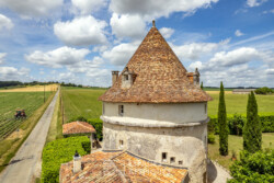 Immobilier Champagne - Vue aérienne