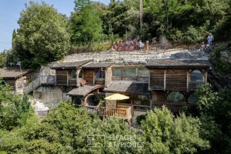 Immobilier Beynac - vue aérienne