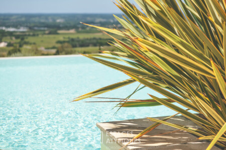 Immobilier Monbazillac - Déco