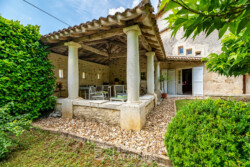 Immobilier Champagne - Terrasse