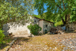 Immobilier Chapelle-Faucher 17 Immobilier Chapelle-Faucher - jardin haut