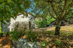 Immobilier Chapelle-Faucher 19 Immobilier Chapelle-Faucher - jardin haut