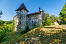 Immobilier Chapelle-Faucher 22 Immobilier Chapelle-Faucher - maison forte
