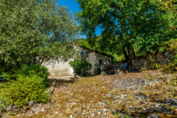 Immobilier Chapelle-Faucher 20 Immobilier Chapelle-Faucher - jardin haut