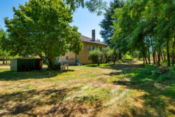 Immobilier Trémolat - jardin