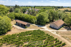 Immobilier Montcaret - vignoble