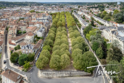 Photographe télépilote de drone