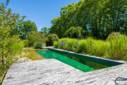 Immobilier Montcaret - piscine à filtration naturelle