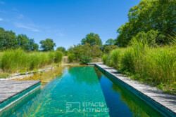 Immobilier Montcaret - piscine à filtration naturelle