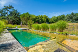 Immobilier Montcaret - piscine à filtration naturelle