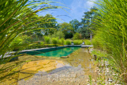 Immobilier Montcaret - piscine à filtration naturelle