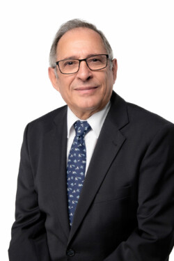 Portraits électoraux