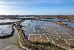 Survol des marais salants de Guérande