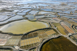 Survol des marais salants de Guérande