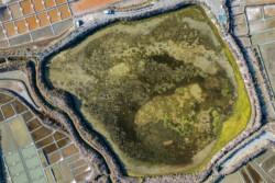 Survol des marais salants de Guérande