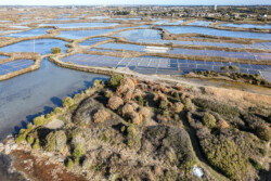 Survol des marais salants de Guérande
