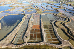 Survol des marais salants de Guérande
