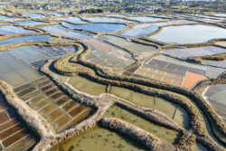 Survol des marais salants de Guérande