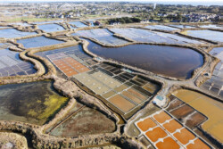 Survol des marais salants de Guérande