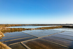 Survol des marais salants de Guérande