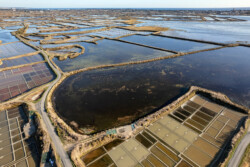 Survol des marais salants de Guérande