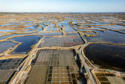Survol des marais salants de Guérande