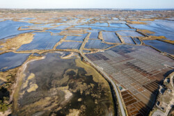 Survol des marais salants de Guérande