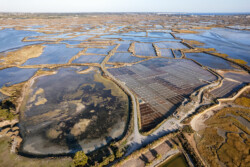 Survol des marais salants de Guérande
