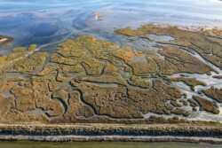 Survol des marais salants de Guérande