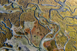 Survol des marais salants de Guérande