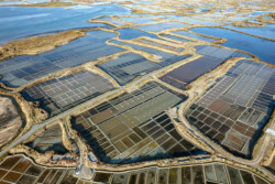 Survol des marais salants de Guérande