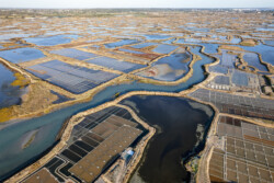 Survol des marais salants de Guérande