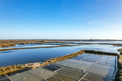 Survol des marais salants de Guérande