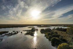 Survol en drone des marais de Brière