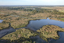 Survol en drone des marais de Brière