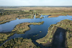 Survol en drone des marais de Brière