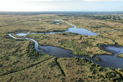 Survol en drone des marais de Brière