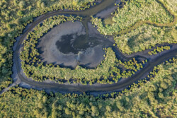 Survol en drone des marais de Brière